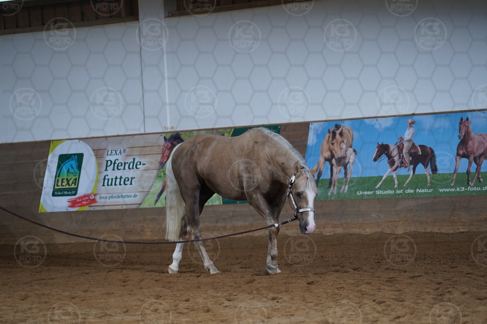 s_A9_04335.jpg